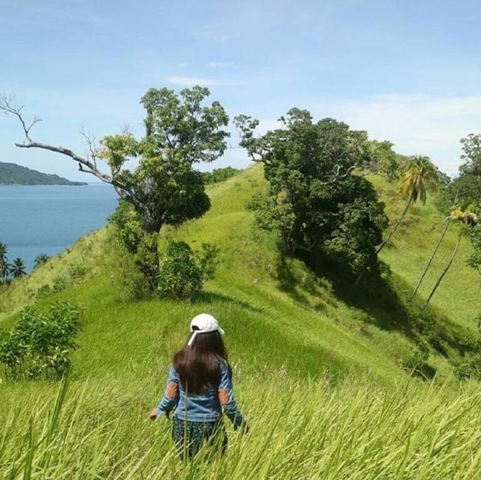 Daun penggemuk ayam di Paleleh, Buol