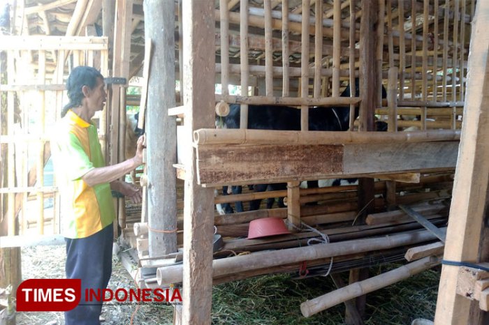 Daging kambing di Pulosari, Pemalang