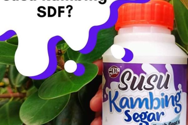 Susu kambing di Conggeang, Sumedang