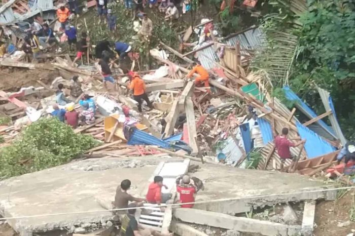 Daun penggemuk ayam di Makale Selatan, Tana Toraja