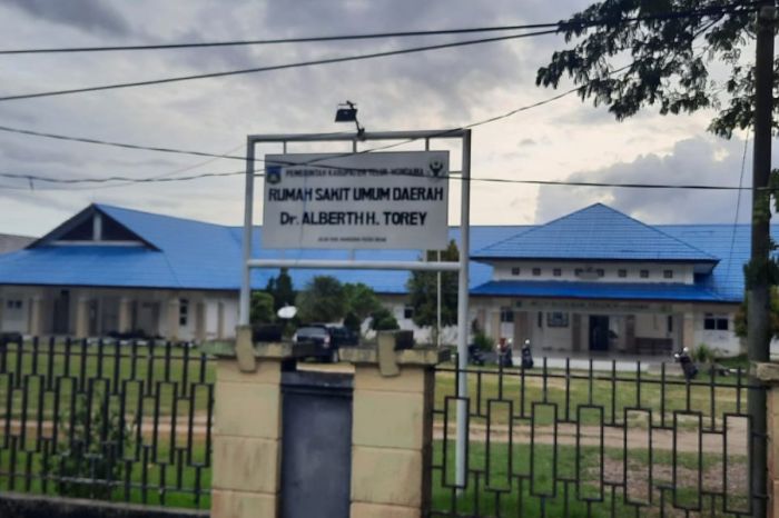 Daun penggemuk ayam di Kuri Wamesa, Kab. Teluk Wondama