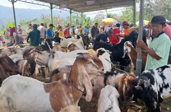 Daging kambing di Lumbir, Banyumas