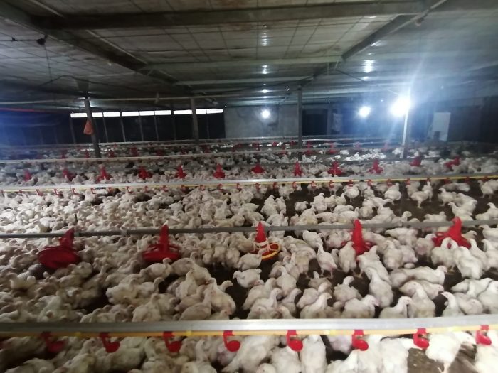 Galeri Gambar – Kojuta.com.my Galeri Gambar – Kojuta.com.my