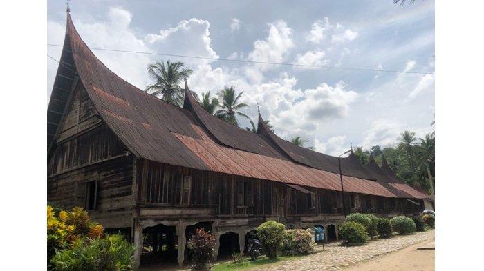 ayam jago kampung yang jinak dan lulut - YouTube ayam jago kampung yang jinak dan lulut - YouTube