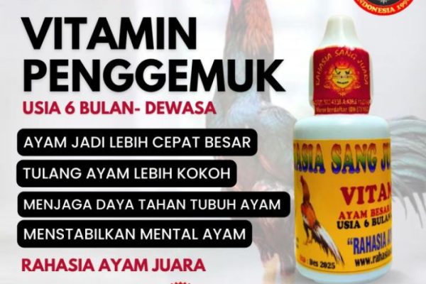 Daun penggemuk ayam di Ponrang Selatan, Luwu