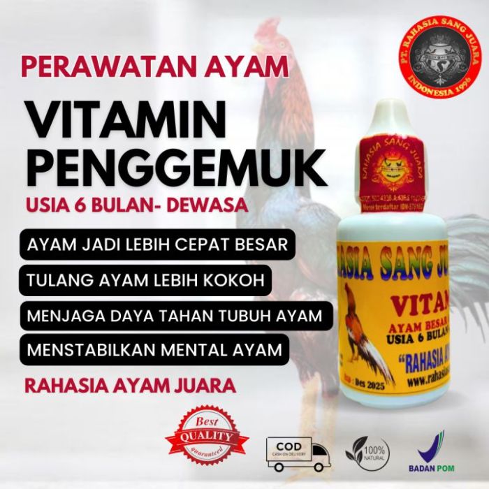 VITAMIN PENGGEMUK AYAM umur 6 Bulan - Dewasa - AYAM CEPAT BESAR 30 ml ... Daun penggemuk ayam di Fawi, Kab. Puncak Jaya
