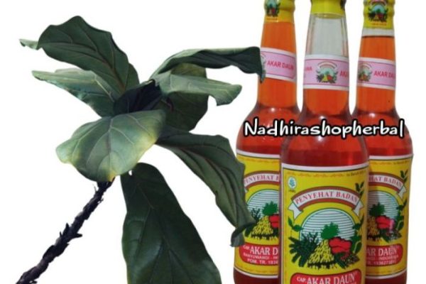 Daun penggemuk ayam di Minyamur, Kab. Mappi