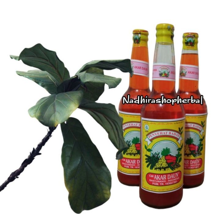 Daun penggemuk ayam di Mamajang, Kota Makassar