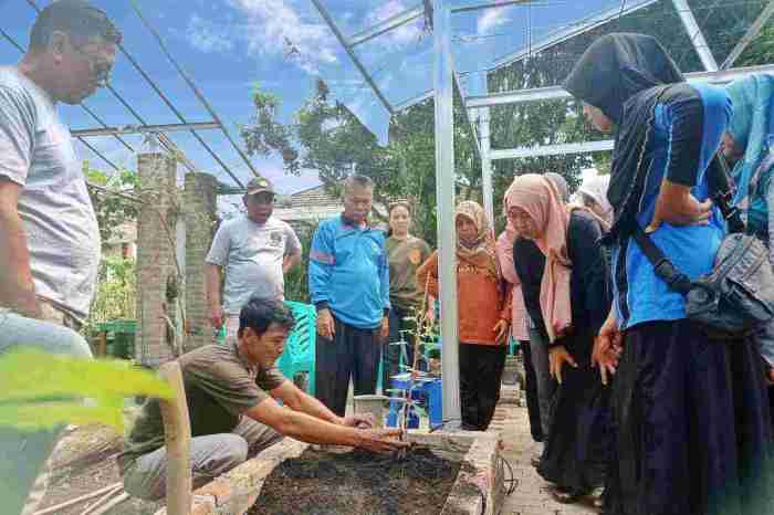 Makanan Khas Sukoharjo Budidaya ayam di Sukoharjo, Pringsewu