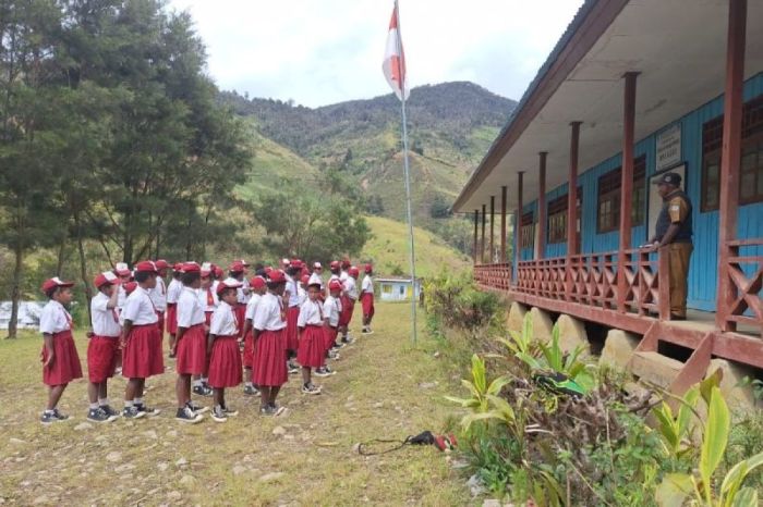 Daun penggemuk ayam di Yiginua, Kab. Lanny Jaya