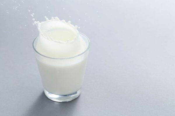 Susu kambing di Lumajang, Kabupaten Lumajang