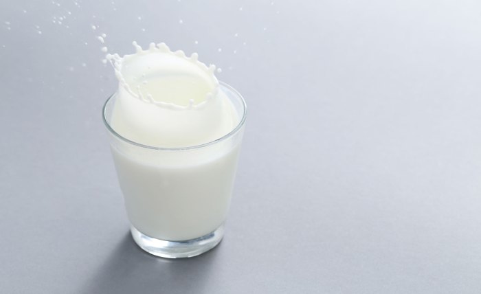 Susu kambing di Gedangan, Sidoarjo