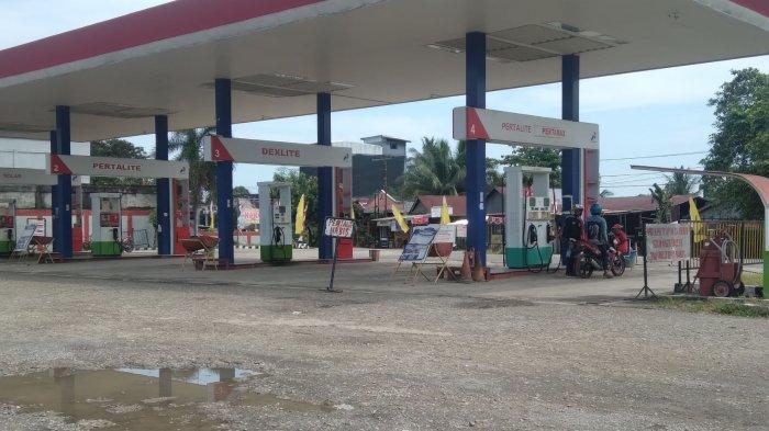 Daun penggemuk ayam di Topoyo, Mamuju Tengah