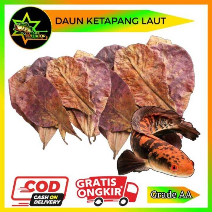 Daun penggemuk ayam di Jelai Hulu, Ketapang