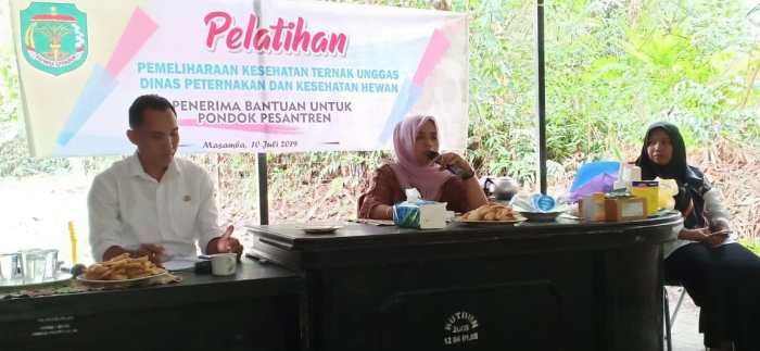 Santri Di Luwu Utara Dilatih Beternak Ayam Kampung | Koranseruya.com Ternak ayam petelur di Rampi, Luwu Utara