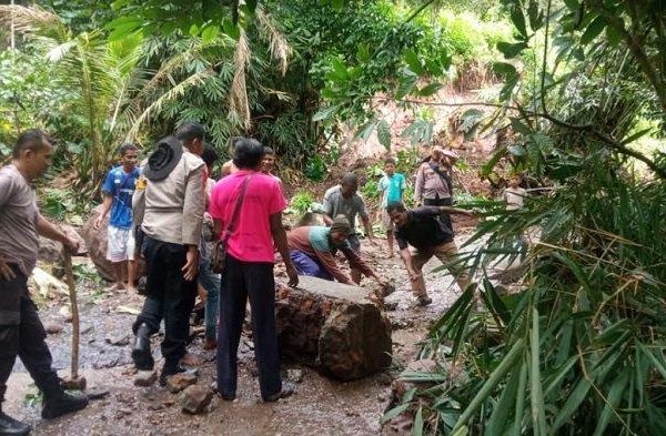 Daun penggemuk ayam di Hewokloang, Sikka