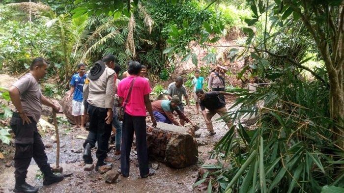 Daun penggemuk ayam di Hewokloang, Sikka