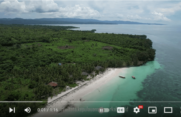 Daun penggemuk ayam di Bontoharu, Kepulauan Selayar