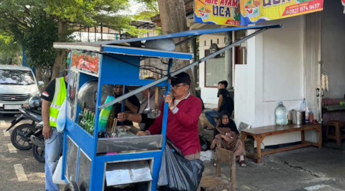 Supplier Ayam Petelur Afkir - Jual Ayam Petelur Afkir Cirebon Ayam afkir di Ciamis, Kab. Ciamis