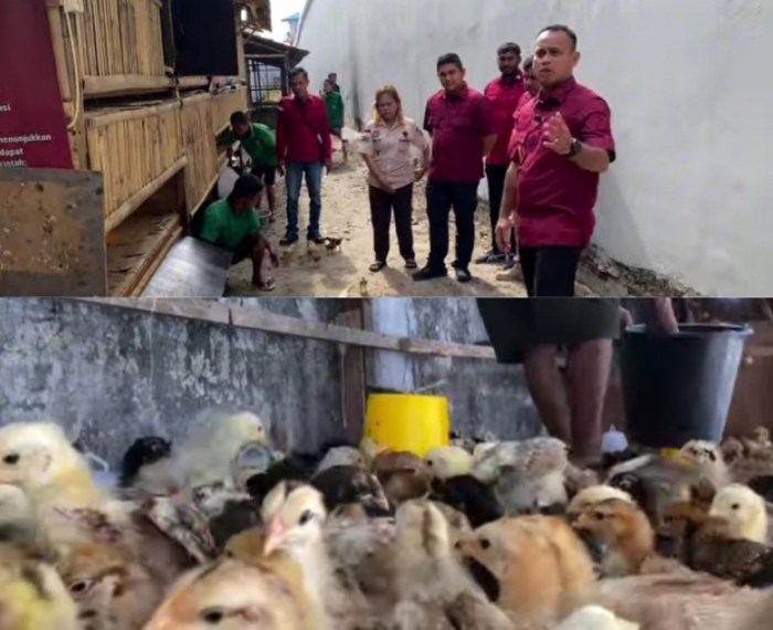Dukung Asta Cita Presiden Tentang Ketahanan Pangan , Lapas Lubuk Pakam ... Budidaya ayam di Lubuk Begalung, Kota Padang