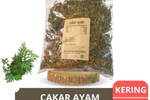 Daun penggemuk ayam di Solor Barat, Flores Timur