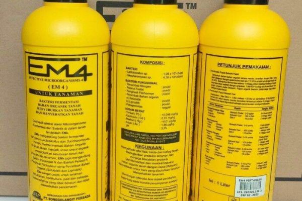 Em4 peternakan ayam di Simpang Kanan, Rokan Hilir