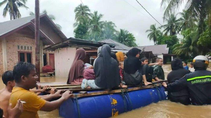 Ini 3 Jenis Pakan Ayam Petelur Terbaik, Agar Hasil Produksi Melimpah Ini 3 Jenis Pakan Ayam Petelur Terbaik, Agar Hasil Produksi Melimpah