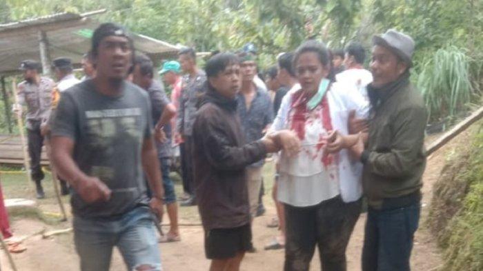 Daun penggemuk ayam di Messawa, Mamasa