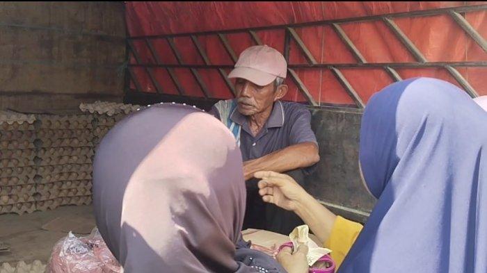 Ternak ayam petelur di Topoyo, Mamuju Tengah