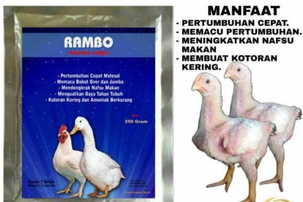 Daun penggemuk ayam di Libureng, Bone