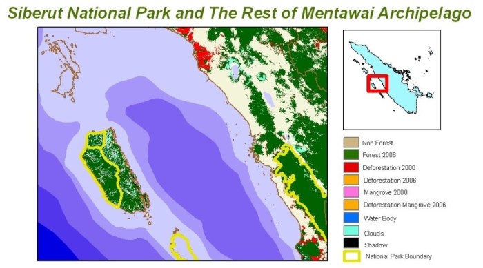 Budidaya ayam di Siberut Utara, Kabupaten Kepulauan Mentawai