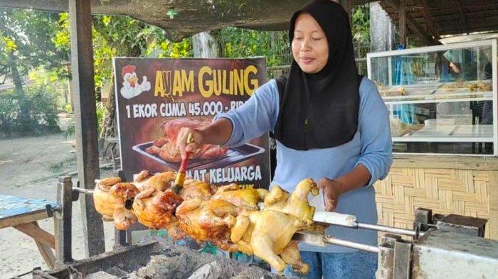 Indukan Ayam Afkir 4kg Menjanjikan, Untuk Konsumsi - YouTube Ayam afkir di Leuwigoong, Garut