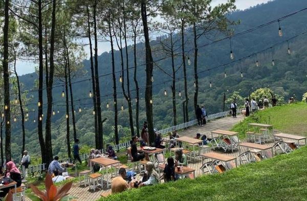 Ayam Ternak di Trawas, Mojokerto