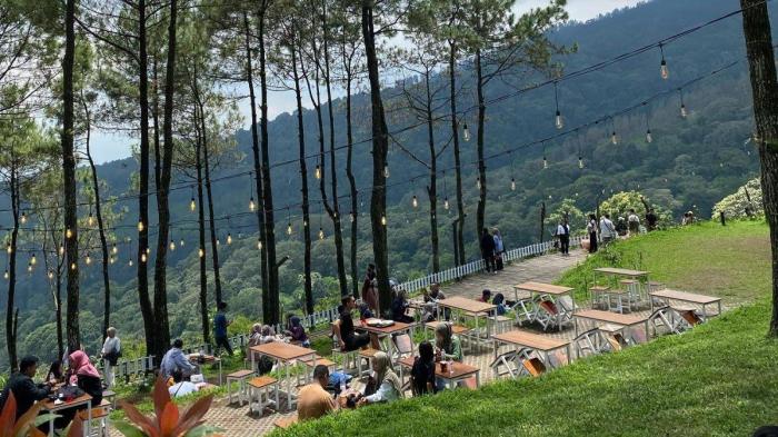 Ternak ayam - YouTube Ayam Ternak di Trawas, Mojokerto