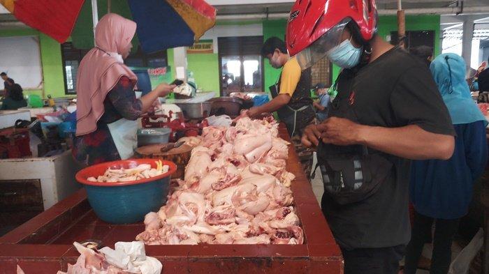 Harga Ayam Merah | Ayam Petelur Afkir di Pasar Tradisional Gotong ... Harga Ayam Merah | Ayam Petelur Afkir di Pasar Tradisional Gotong ...