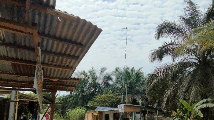 Ayam layer di Batang Asai, Kabupaten Sarolangun