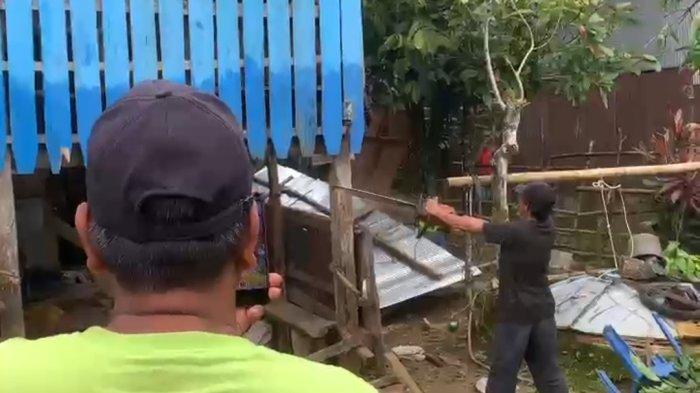 Daun penggemuk ayam di Biringbulu, Gowa