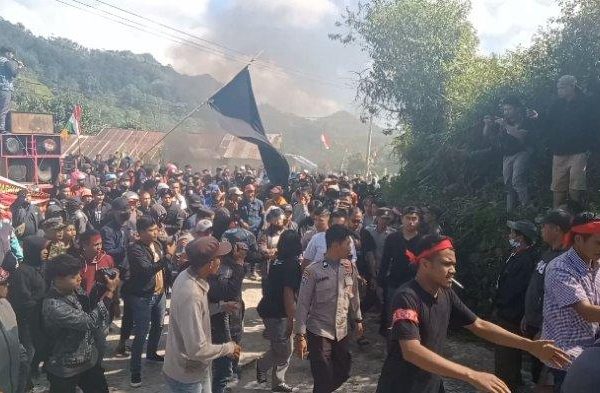 Daun penggemuk ayam di Aralle, Mamasa