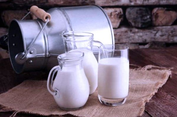 Susu kambing di Burneh, Bangkalan