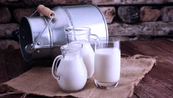 Susu kambing di Wagir, Malang