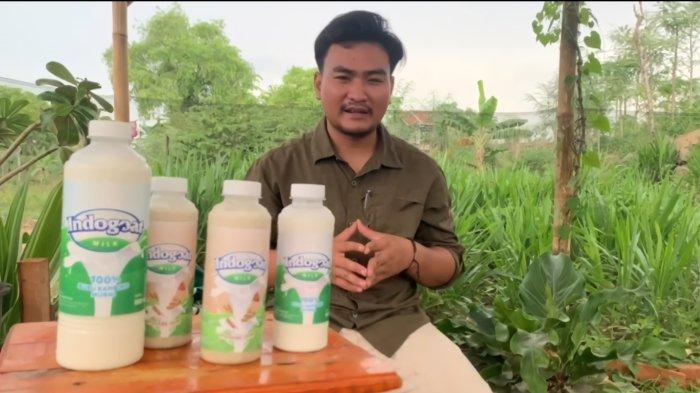 Susu kambing di Tlogosari, Bondowoso