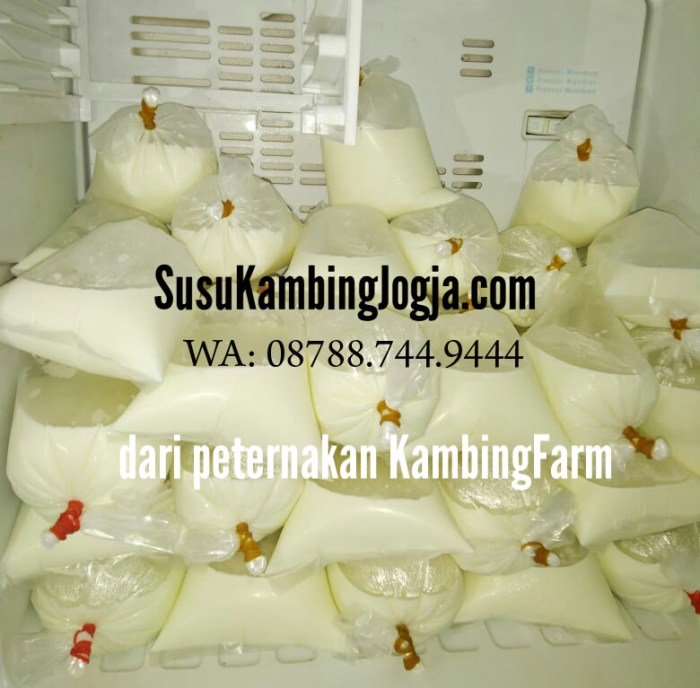 Susu kambing di Mantrijeron, Kota Yogyakarta