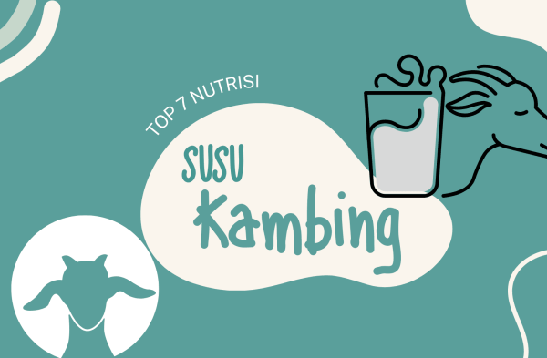 Susu kambing di Menganti, Gresik
