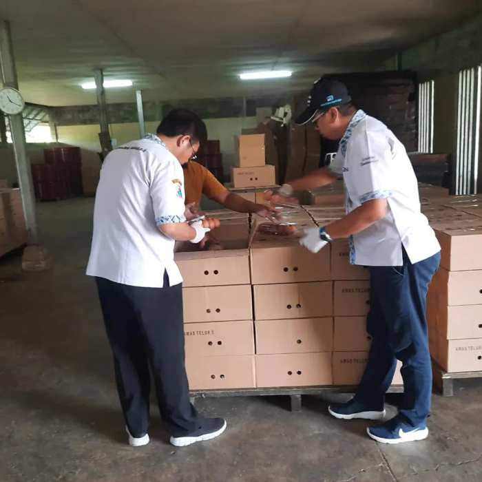 PEMERIKSAAN TELUR AYAM RAS BANTUAN PENANGANAN STUNTING DI FARM LAYER ... Daun penggemuk ayam di Sajira, Kab. Lebak