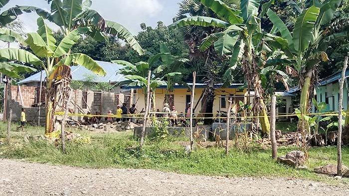 Daun penggemuk ayam di Kota Kefamenanu, Timor Tengah Utara