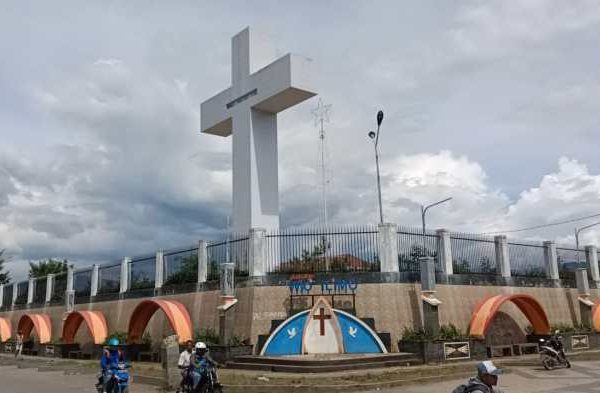 Daun penggemuk ayam di Wamena, Kab. Jayawijaya
