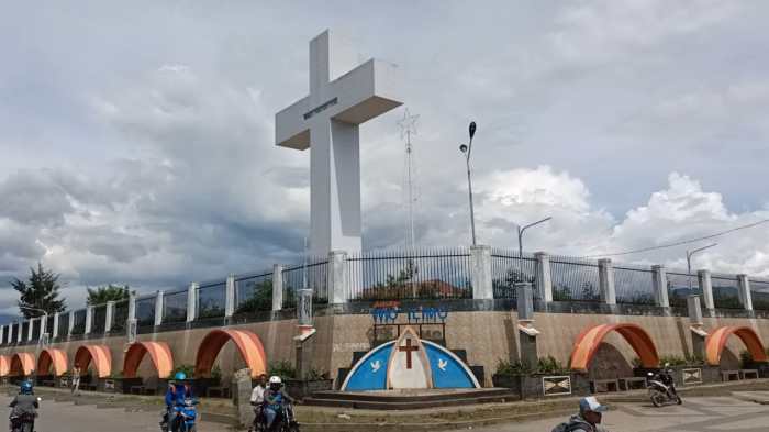 VLOG | 🚗 Suasana Kota Wamena Ibukota Kabupaten Jayawijaya Provinsi ... Daun penggemuk ayam di Wamena, Kab. Jayawijaya