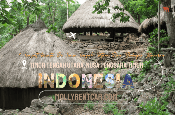 Daun penggemuk ayam di Neomuti Timur, Timor Tengah Utara