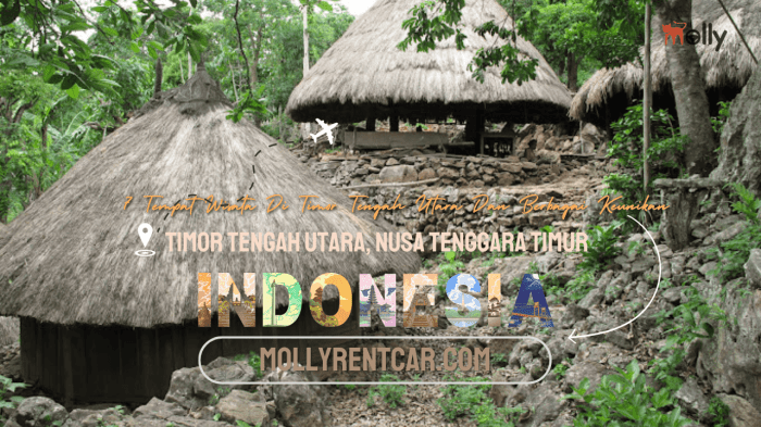 Daun penggemuk ayam di Neomuti Timur, Timor Tengah Utara