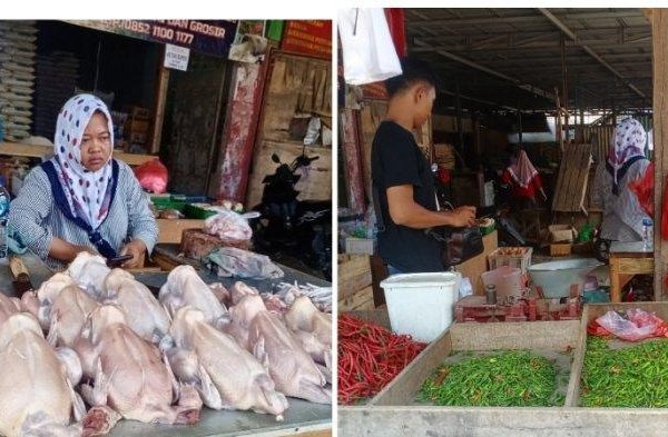 Harga ayam kampung potong di Sukadana, Lampung Timur